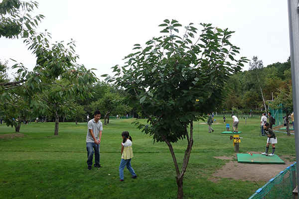 パークゴルフは企業の社内レクリエーションにおすすめ 吉田観光農場